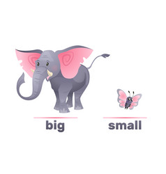 Antonyms And Opposites Big Small Elephant