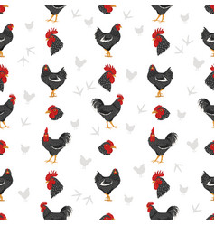 California Grey Chicken Breeds Seamless Pattern