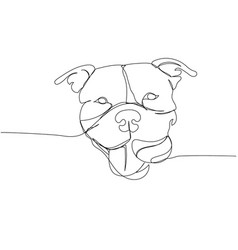 American Bully With A Ball Portrait Dog Breed