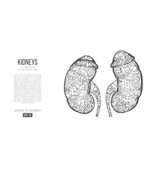 Abstract Silhouette Polygonal Organ Kidney