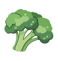 Green Broccoli