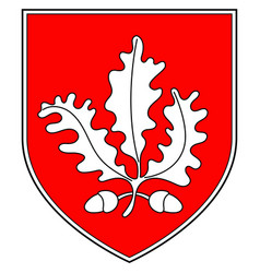 Coat Arms County Londonderry In Ulster