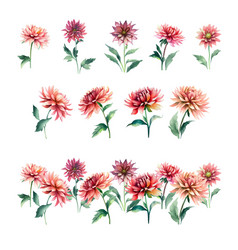 Watercolor Dahlia Flowers Set Hand Painted