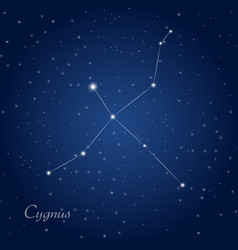 Cygnus Constellation