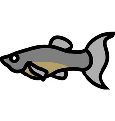 Molly Fish Color Icon