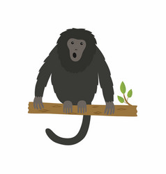 Animal Howler Monkey