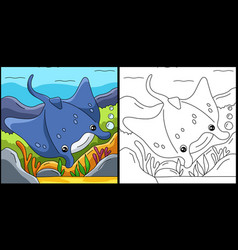 Manta Ray Coloring Page Colored