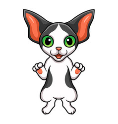 Cute Oriental Cat Cartoon Standing