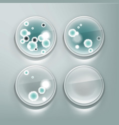 Petri Dish With Molds