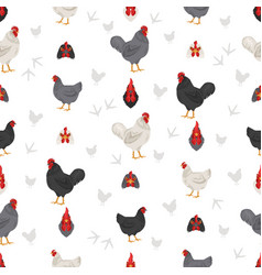 Jersey Giant Chicken Breeds Seamless Pattern