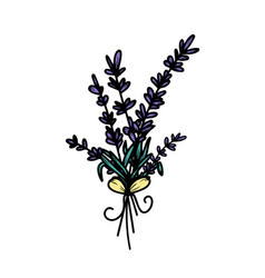 Set Of Hand-drawn Lavender Flowers With Leaves