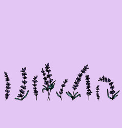 Set Of Hand-drawn Lavender Flowers With Leaves