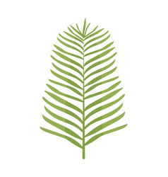 Palm Leaf Icon