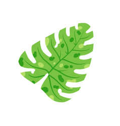 Monstera Leaf Geen Houseplant