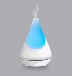 Realistic Detailed 3d Essential Oil Diffuser