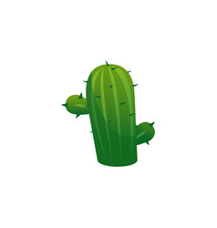 Cactus Succulent Plant Cartoon Flat