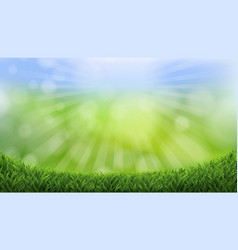 Spring Grass Border And Sunburst Background