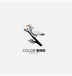 Dove Bird Color Logo Template