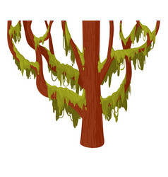 Swamp Moss Tree Cartoon Growing