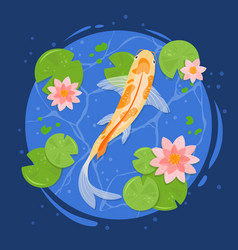 Koi Carp Fishes