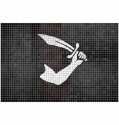 Thomas Tew Pirate Mosaic Textured Background