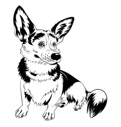 Sketch Dog Welsh Corgi Smiling