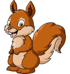 Happy Squirrel Cartoon On White Background