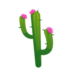 Succulent Cactus With Blooming Pink Flower Flat