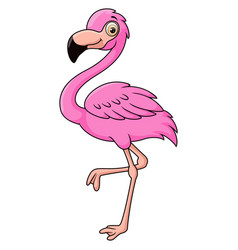 Cute Flamingo Cartoon On White Background