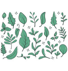 Hand Drawn Foliage Twigs And Herbs Set