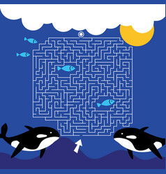 Maze Game Labyrinth Whales