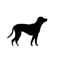 Black Silhouette Of A Labrador Retriever Dog