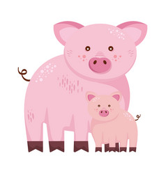 Family Porks Animals Farms