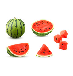 3d Realistic Watermelon Fruit Whole And Slice