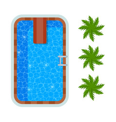 Swimming Pool Top View