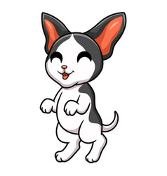 Cute Oriental Cat Cartoon Standing