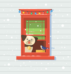 Dog On The Window Christmas Card