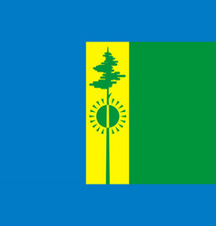 Flag Nizhnekamsk In Republic Tatarstan