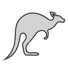 Grey Kangaroo On White Background