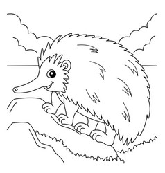 Echidna Animal Coloring Page For Kids