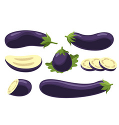 Fresh Eggplant Cartoon Set