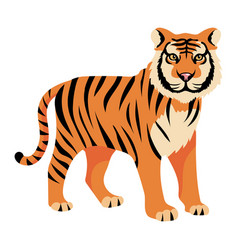 Tiger Animal Isolated