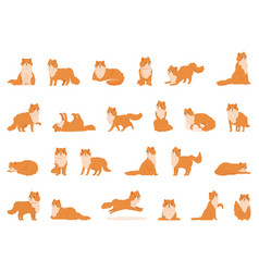 Persian Cat Icons Set Cartoon Animal Cute