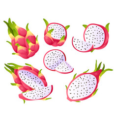 Dragon Fruit Cartoon Pitaya Pieces Sweet Exotic