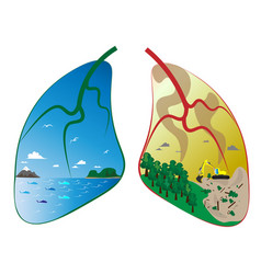 Lungs Of Ecology Of Our World The