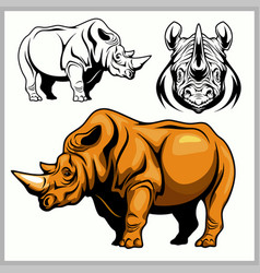 Rhinoceros In A Profile And Front View