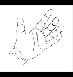 Female Left Hand Outline Sketch