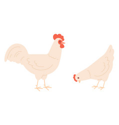 Poultry Color Icon Rooster And Hen Farm Chicken