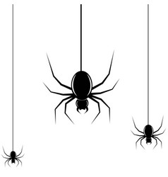 Spider Icon Logo