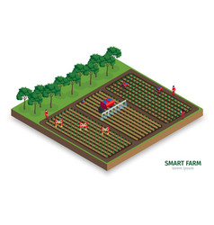 Isometric smart farm infographics Royalty Free Vector Image